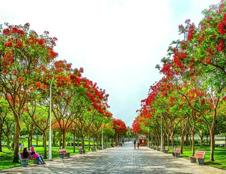 افضل 6 حدائق في دبي ننصحكم بزيارتها
