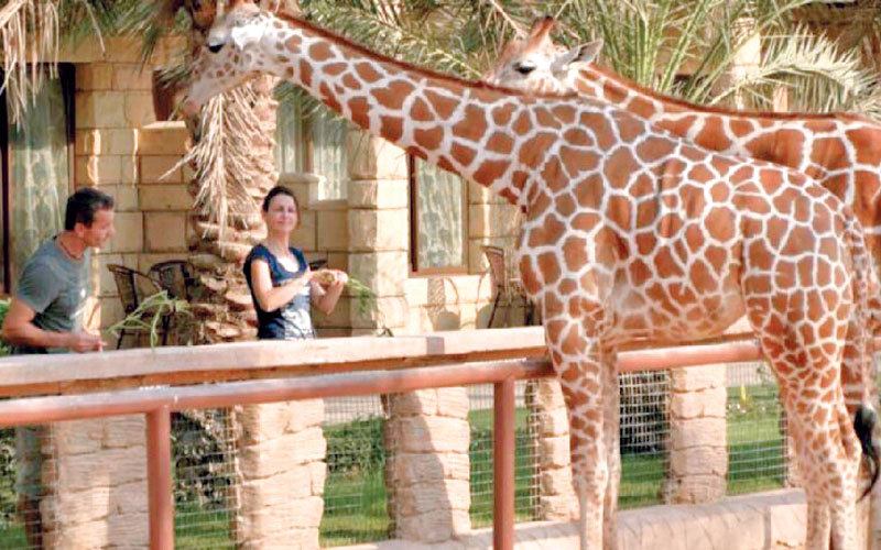 Emirates Zoo wins the best zoo award in the Middle East