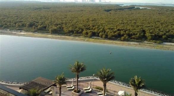 Al Qaram national park in Abu dhabi .. Migrating Bird Rest House